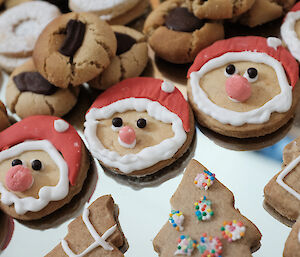 A plate full of decorated Christmas cookies