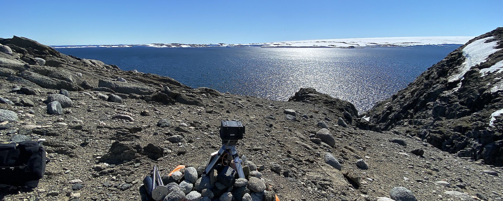 A camera on Ardery Island trained on an Adélie penguin colony