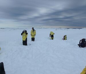 Four expeditioners dig holes in the snow for sleeping in