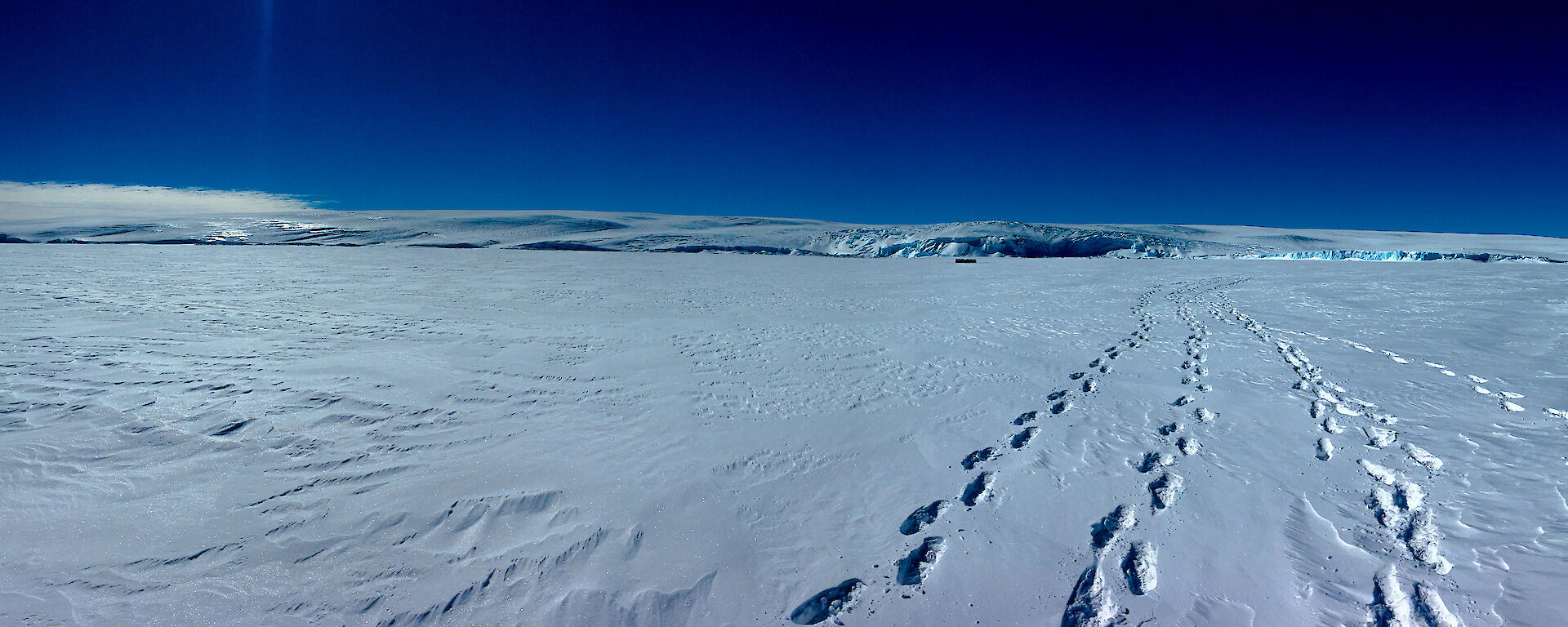 Panoramic view of sea ice with Peterson glacier beyond