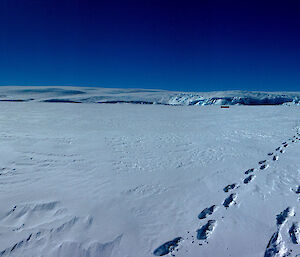 Panoramic view of sea ice with Peterson glacier beyond