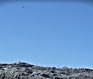 The C17 aircraft in the distance over Adélie penguin colony