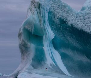 penguin on a jade iceberg