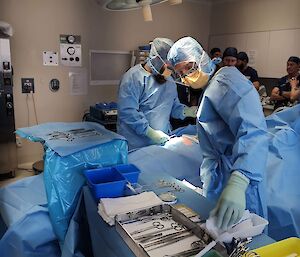 Lay surgical assistant selects the right instrument from a tray