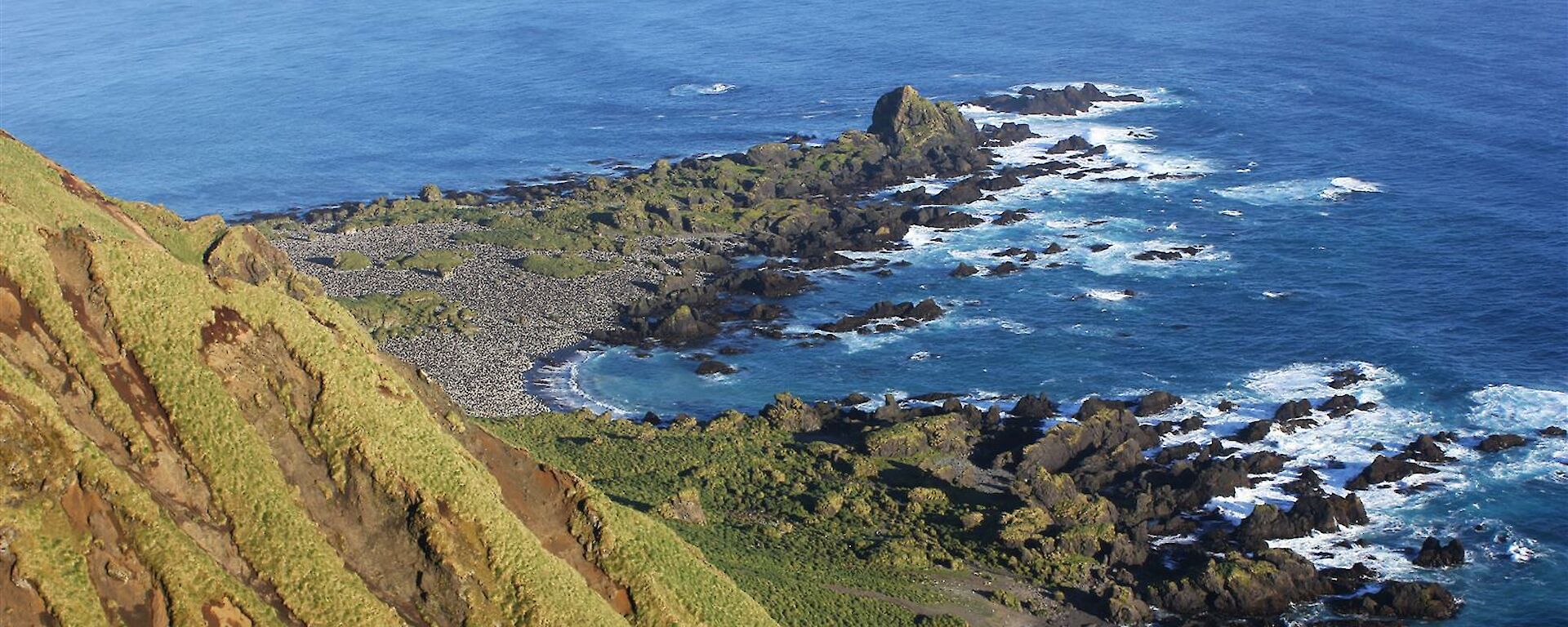 Coastal mountain view of penguin colonies