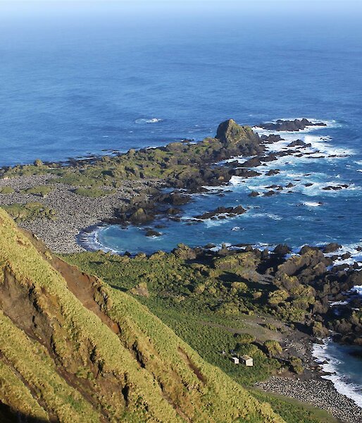 Coastal mountain view of penguin colonies