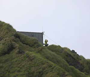 One expeditioner standing with binoculars on a grassy hill