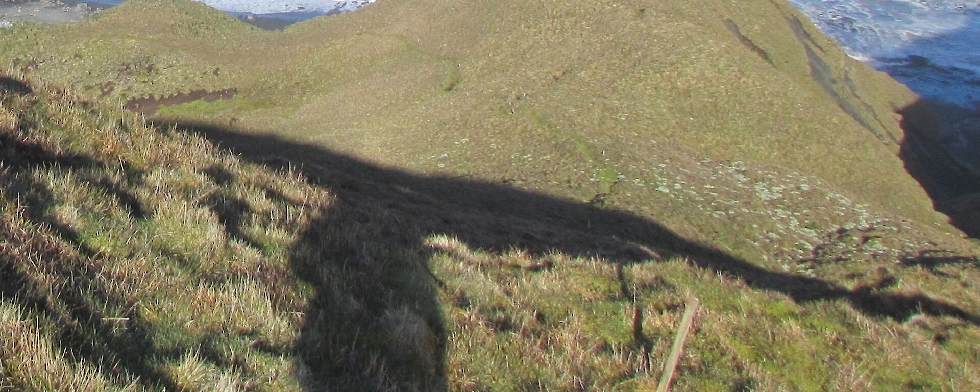 Degraded vegetation on First knoll on Doctor’s Track, 2010