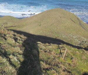 Degraded vegetation on First knoll on Doctor’s Track, 2010