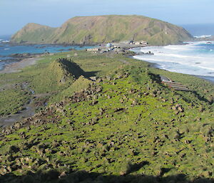 Looking down a hillside with degraded vegetation in 2010