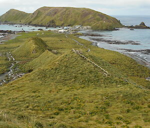 Looking down a hill with lots of regrowth in 2020