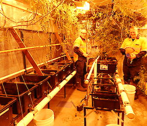 expeditioners clean out hydroponics