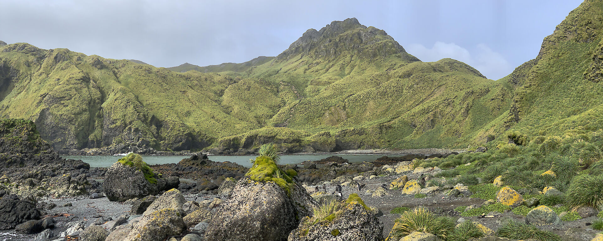 Landscape of Caroline Cove