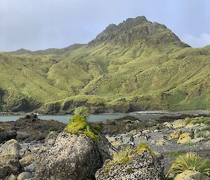 Landscape of Caroline Cove