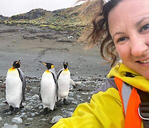 Self portrait of an expeditioner on the beach with three king pengiuns in the background