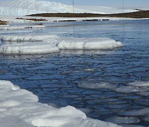 Sea ice in the harbour