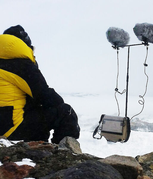 Sound artist recording the howl of the blizzard