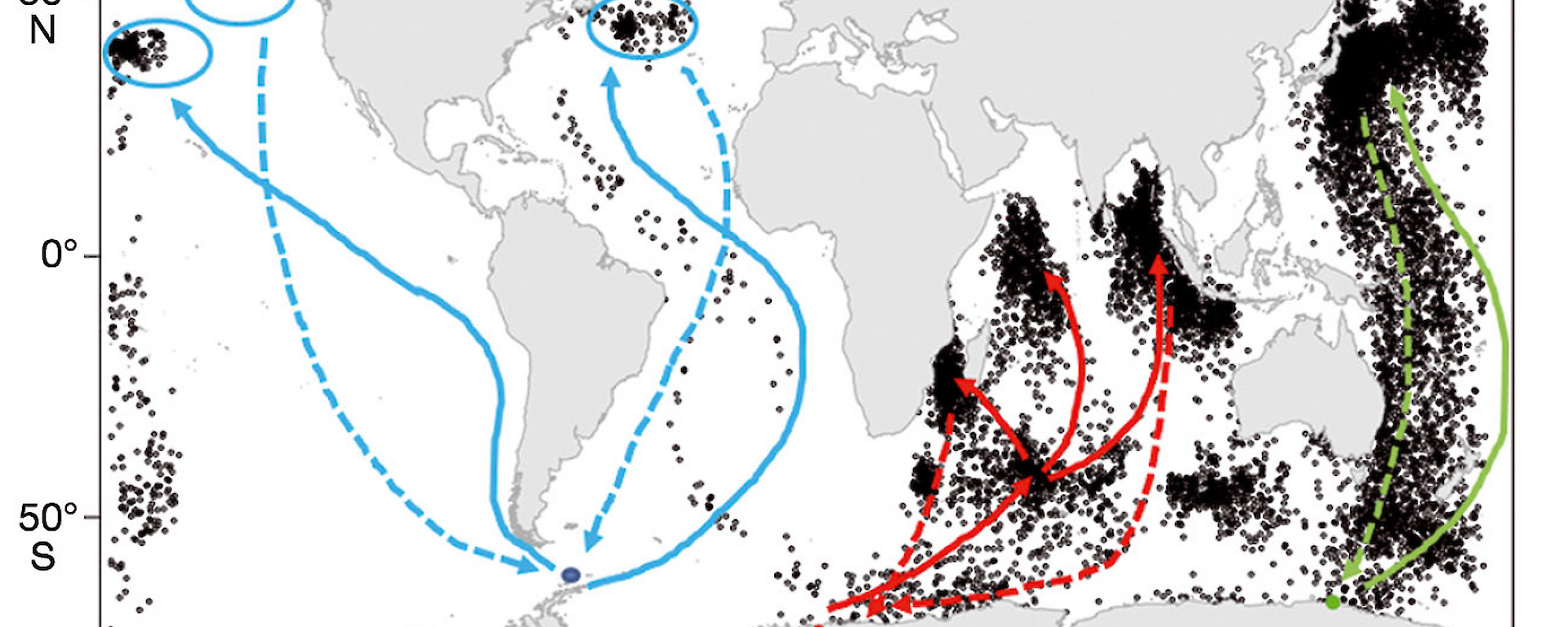 map of migration routes across three oceans