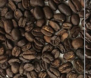 three images of coffee beans — green to brown to dark roasted brown