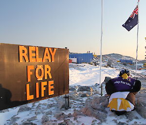 Relay For Life is the message on the notice board, a stuffed penguin on a rock is next to the sign, with the Australian flag flying in the background