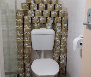 A toilet surrounded by stacked toilet paper rolls