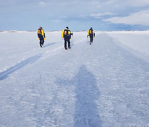 A patch of grey ice 5 metres across surrounded by the typical snow covered sea ice