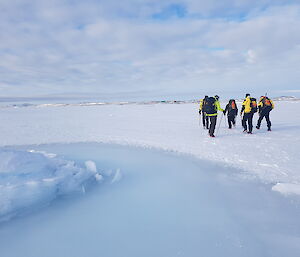 A frozen pond of tidal seawater provides a slick blue contrast against the rough snow covered sea ice