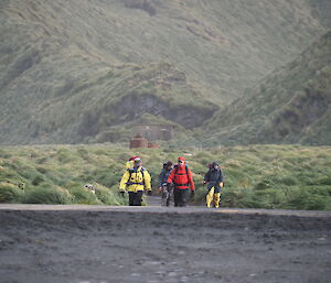 Four expeditioners walking along the coast