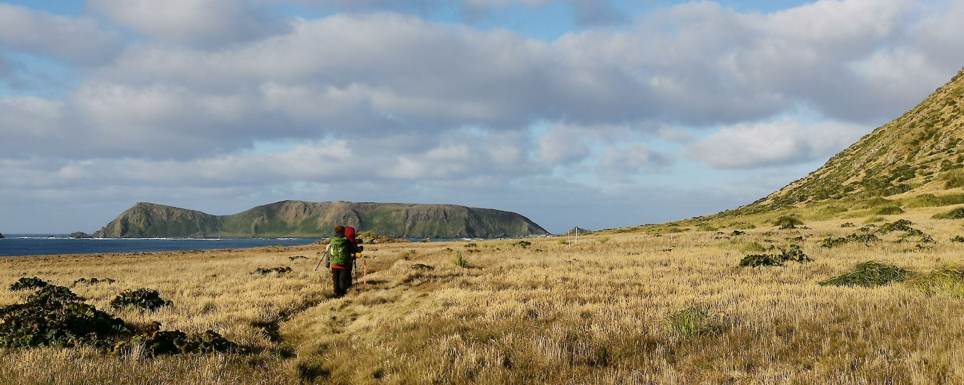 Two expeditioners on a grassy walking track