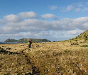 Two expeditioners on a grassy walking track