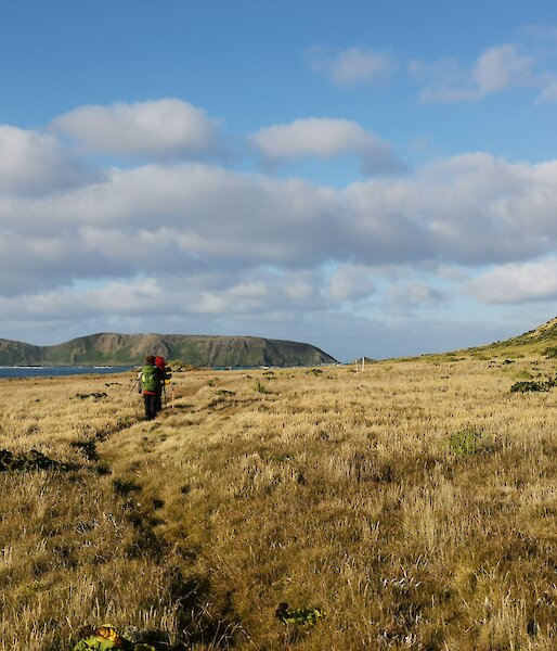 Two expeditioners on a grassy walking track