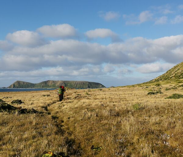 Two expeditioners on a grassy walking track