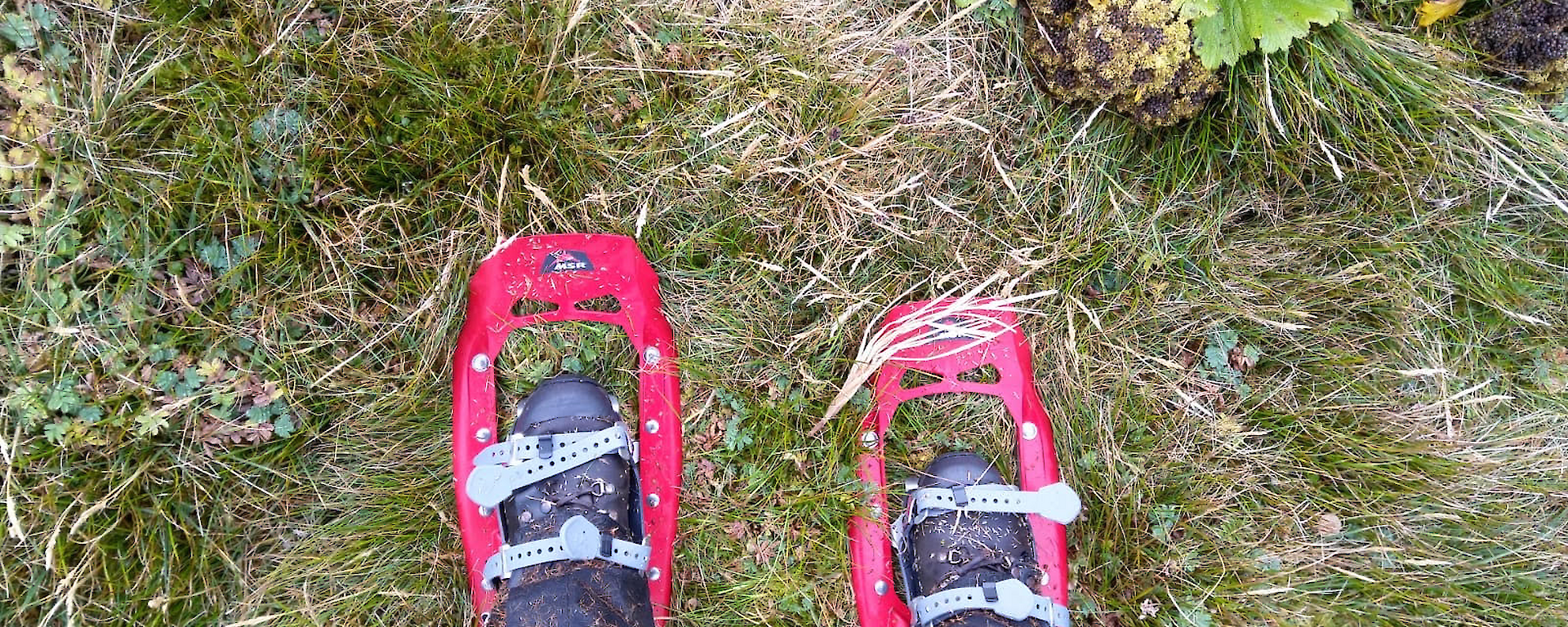 Looking down at snowshoes being worn by a ranger