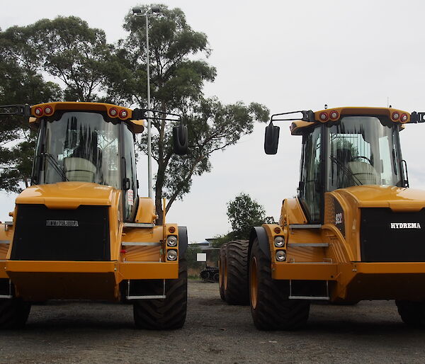 Two yellow tip trucks side by side.