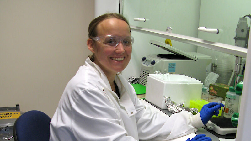 Dr Suter sitting at a laboratory bench with krill samples.