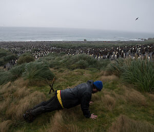 Expeditioner doing push ups in front of a king penguin colony