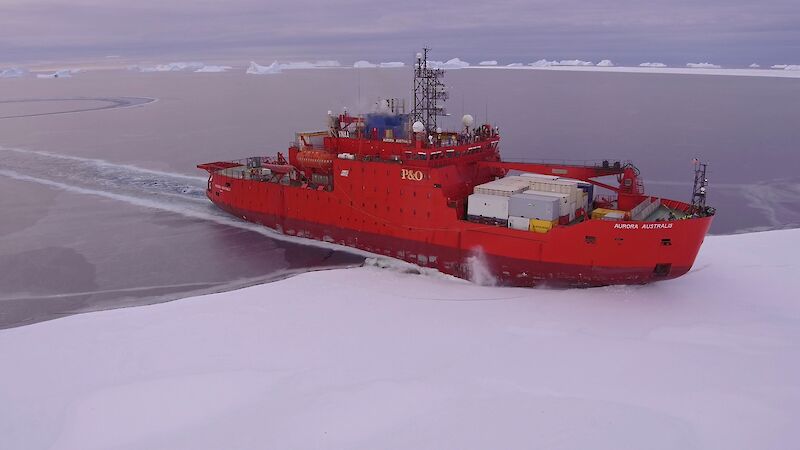 The Aurora Australis entering the sea ice.