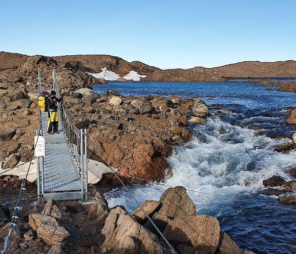 an expeditioner gazes out over watts hut bridge during the bright summer as strong rapids flow underneath