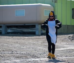 An expeditioner dressed in a penguin costume walking down the dusty main road at Davis station