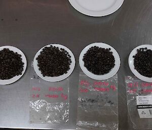 Coffee beans roasted for varying degrees