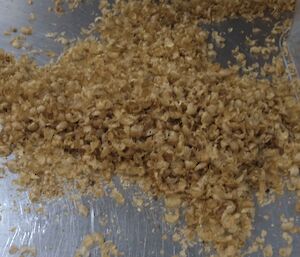 Coffee chaff, husks, or cascara on the kitchen bench at Casey.