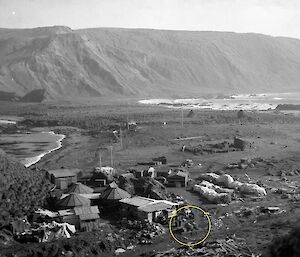 Black and white view of Macquarie Island station from elevated hillside position