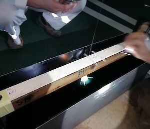 An angle being measured with a pendulum.