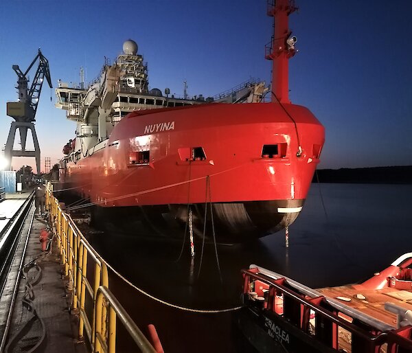 Icebreaker at dock in dawn light