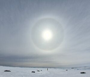 A sun halo being cast over the horizon