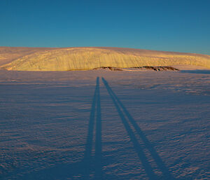 Long shadows on the sea ice