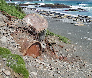 Exposed rubbish on the beach