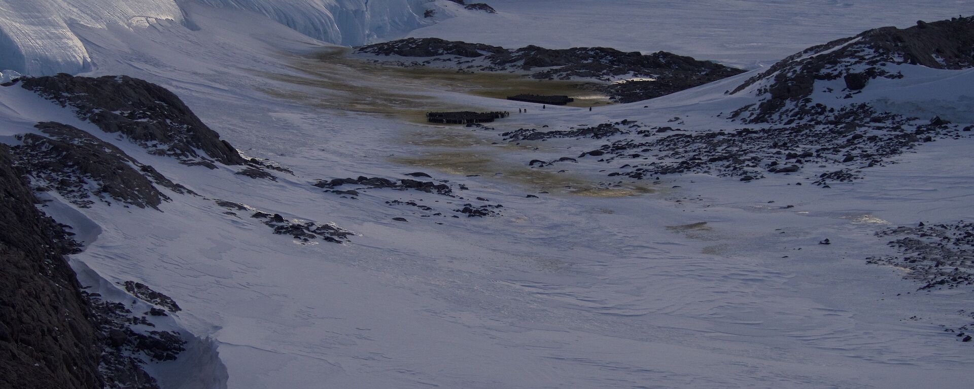 Taylor Glacier and penguin rookery