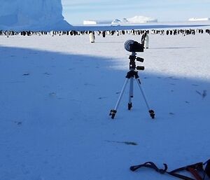 Penguins in background, camera on tripod in foreground with expeditioner and backpack lying on the ice