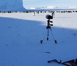 Penguins in background, camera on tripod in foreground with expeditioner and backpack lying on the ice
